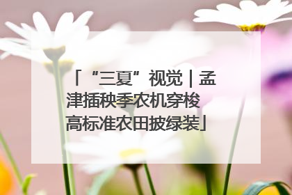 “三夏”视觉｜孟津插秧季农机穿梭 高标准农田披绿装